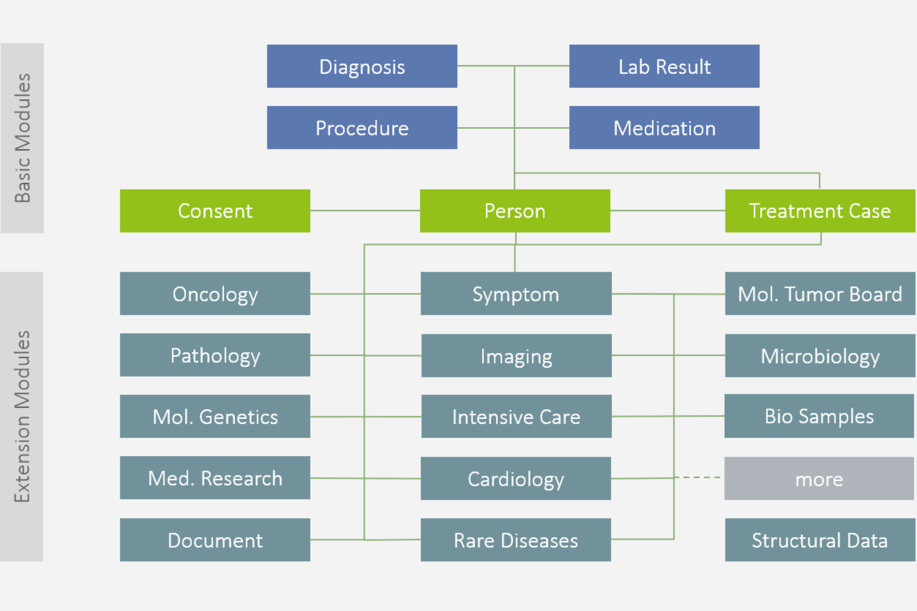 The Medical Informatics Initiative’s core data set