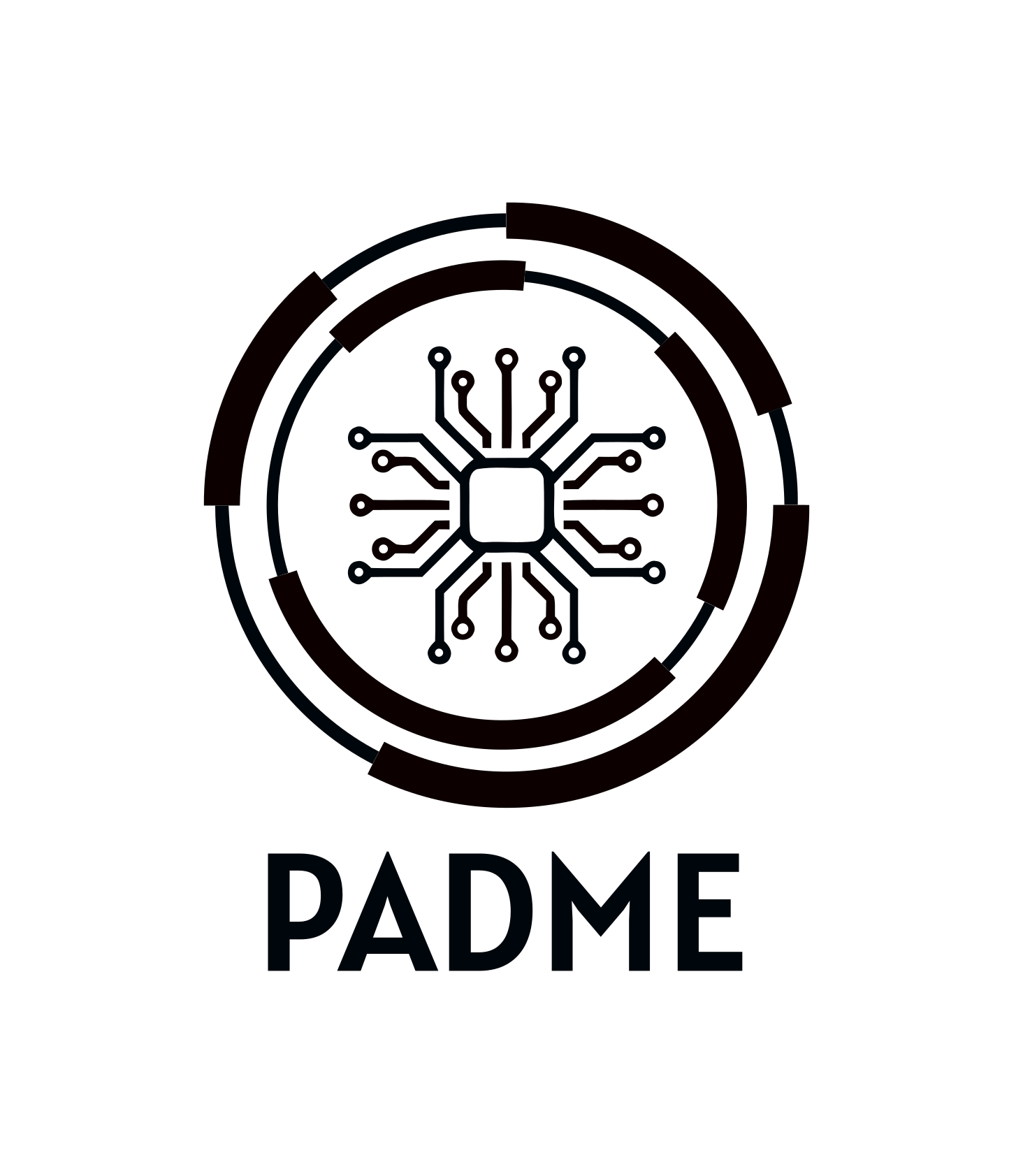 Logo PADME